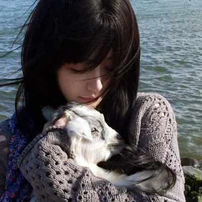 豪情四海